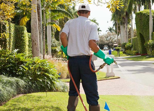 About Park City MT Pest Control